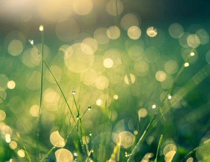 Общетерапевтическая путевка - Лечебные программы - Санаторий «Виктория» Ессентуки