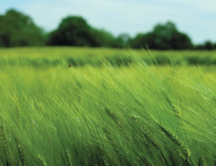 Оздоровительная санаторно-курортная путевка - Лечебные программы - Санаторий «Виктория» Ессентуки