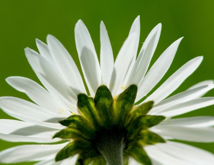 Женское бесплодие - Лечебные программы - Санаторий «Виктория» Ессентуки