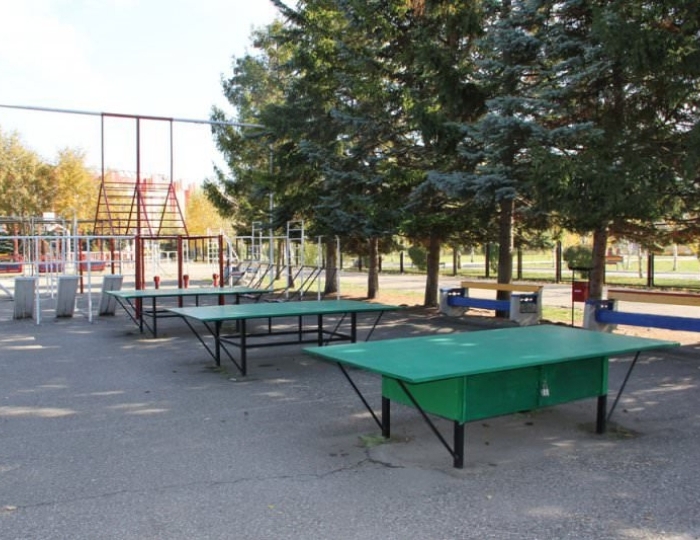 Настольный теннис - Санаторий «Виктория» Ессентуки