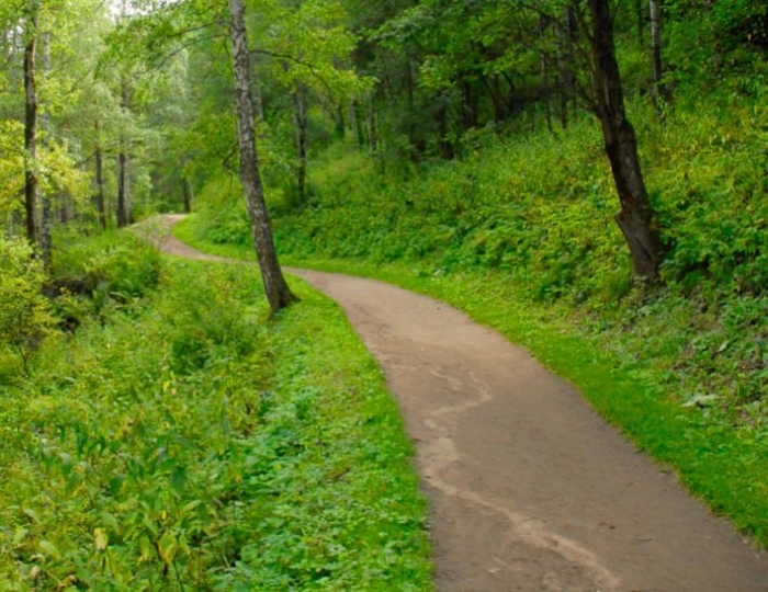 Терренкур - Оздоровительные услуги - Санаторий «Виктория» Ессентуки